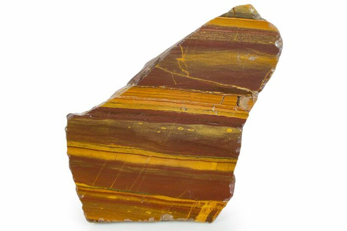 Polished Desert Sunset Banded Iron Section #353822